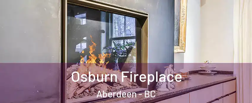  Osburn Fireplace Aberdeen - BC