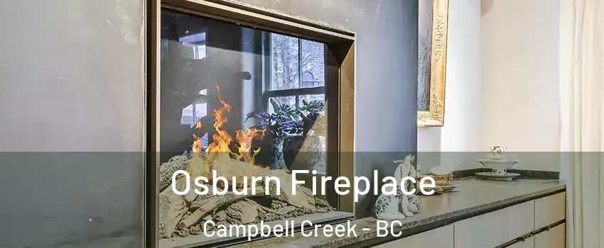 Osburn Fireplace Campbell Creek - BC