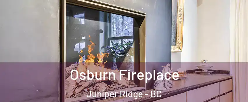  Osburn Fireplace Juniper Ridge - BC