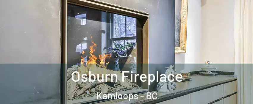  Osburn Fireplace Kamloops - BC