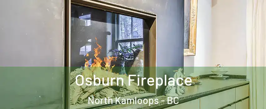  Osburn Fireplace North Kamloops - BC