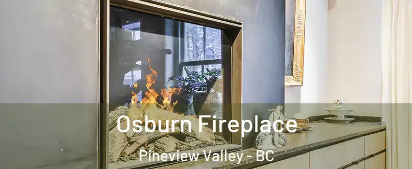  Osburn Fireplace Pineview Valley - BC
