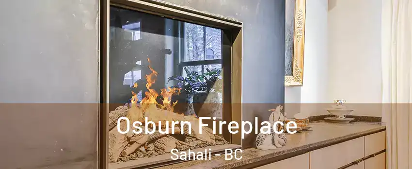  Osburn Fireplace Sahali - BC