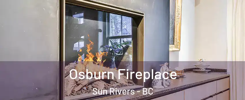  Osburn Fireplace Sun Rivers - BC