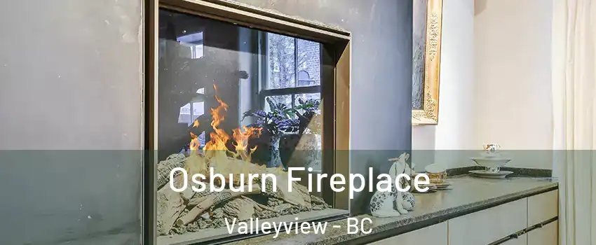  Osburn Fireplace Valleyview - BC