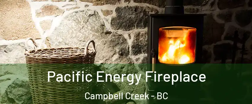  Pacific Energy Fireplace Campbell Creek - BC