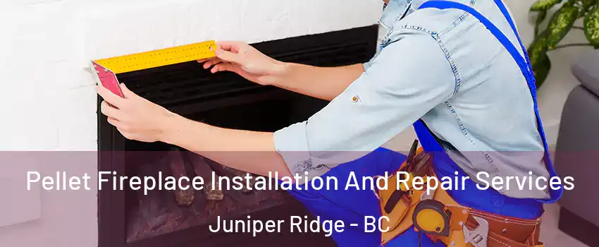  Pellet Fireplace Installation And Repair Services Juniper Ridge - BC