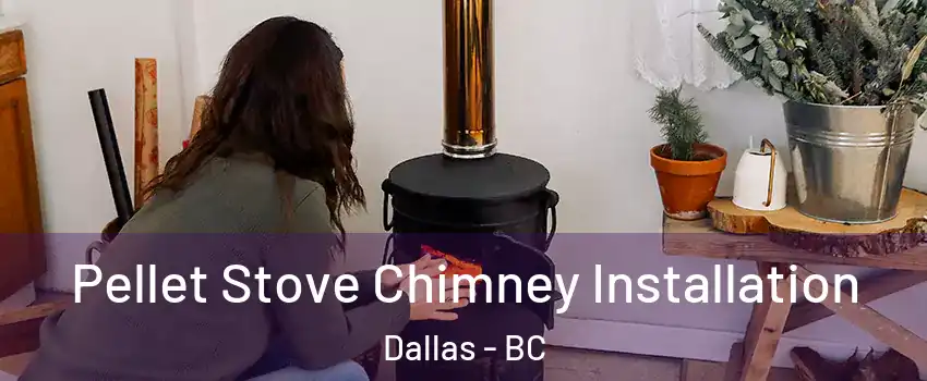  Pellet Stove Chimney Installation Dallas - BC