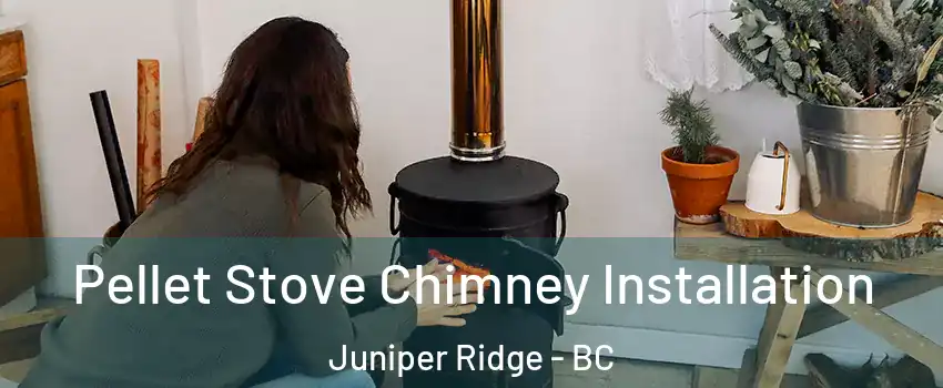  Pellet Stove Chimney Installation Juniper Ridge - BC
