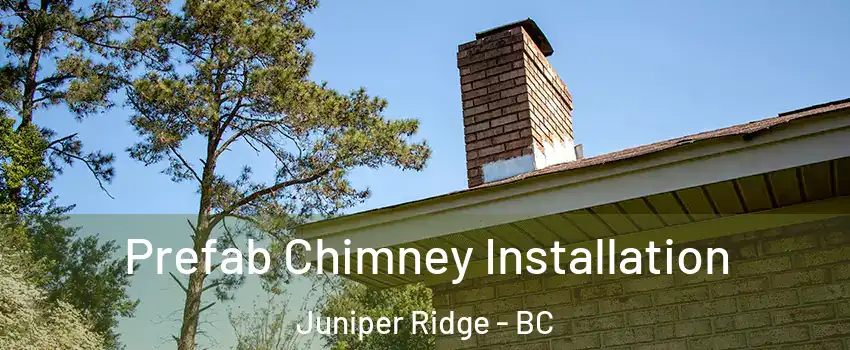  Prefab Chimney Installation Juniper Ridge - BC