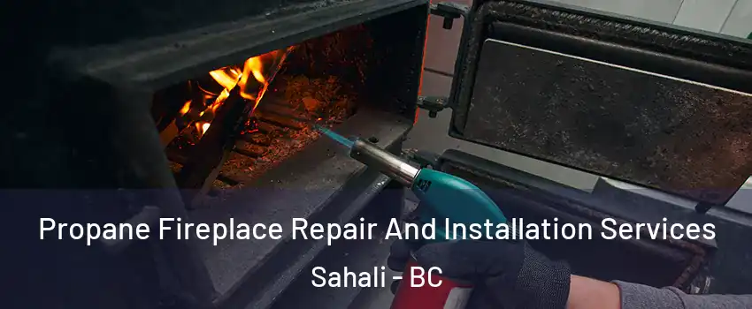 Propane Fireplace Repair And Installation Services Sahali - BC