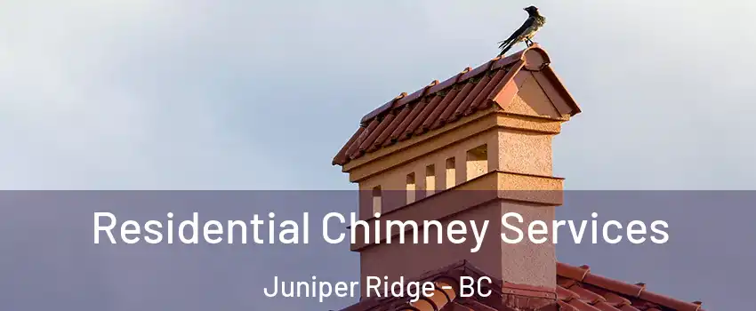  Residential Chimney Services Juniper Ridge - BC