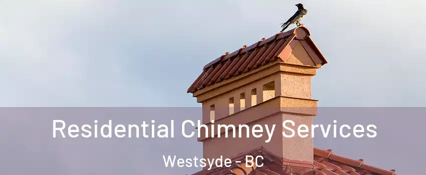  Residential Chimney Services Westsyde - BC
