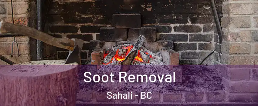  Soot Removal Sahali - BC