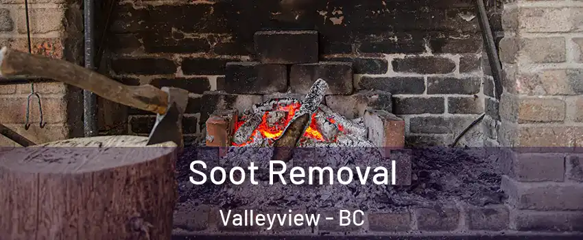  Soot Removal Valleyview - BC