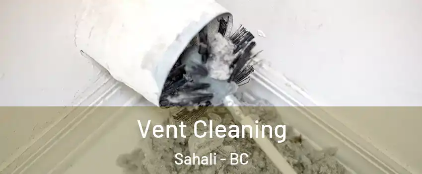  Vent Cleaning Sahali - BC