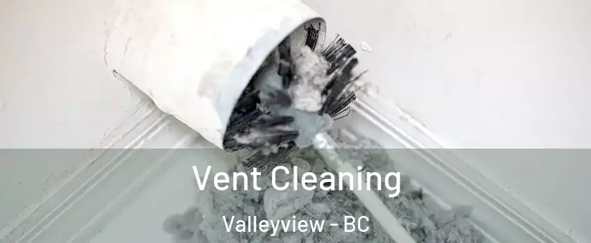  Vent Cleaning Valleyview - BC