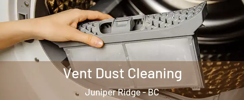  Vent Dust Cleaning Juniper Ridge - BC