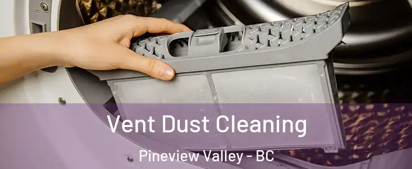  Vent Dust Cleaning Pineview Valley - BC