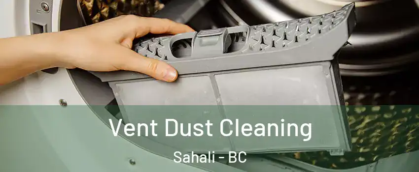  Vent Dust Cleaning Sahali - BC