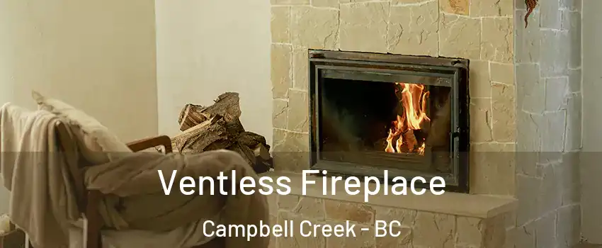  Ventless Fireplace Campbell Creek - BC