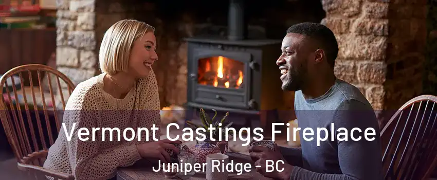  Vermont Castings Fireplace Juniper Ridge - BC