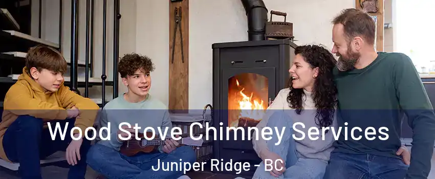  Wood Stove Chimney Services Juniper Ridge - BC