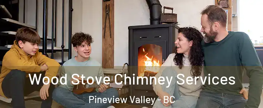  Wood Stove Chimney Services Pineview Valley - BC