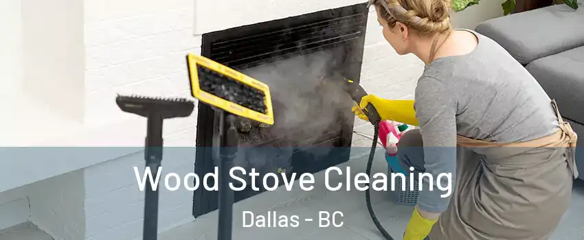  Wood Stove Cleaning Dallas - BC