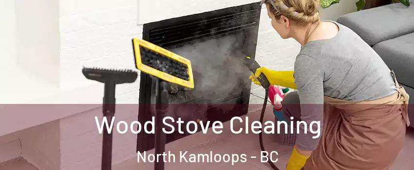  Wood Stove Cleaning North Kamloops - BC