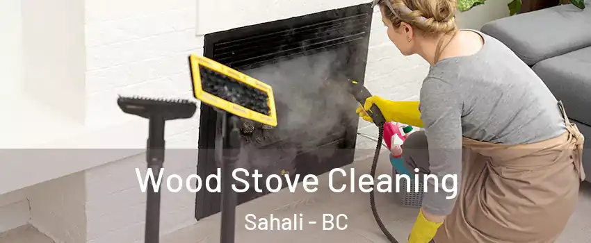  Wood Stove Cleaning Sahali - BC