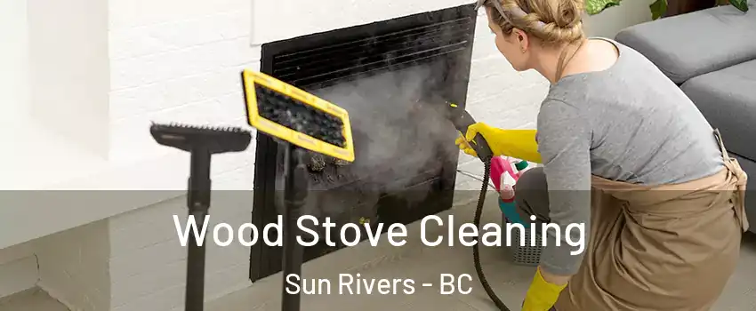  Wood Stove Cleaning Sun Rivers - BC