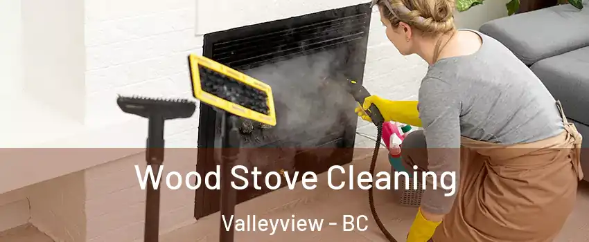  Wood Stove Cleaning Valleyview - BC