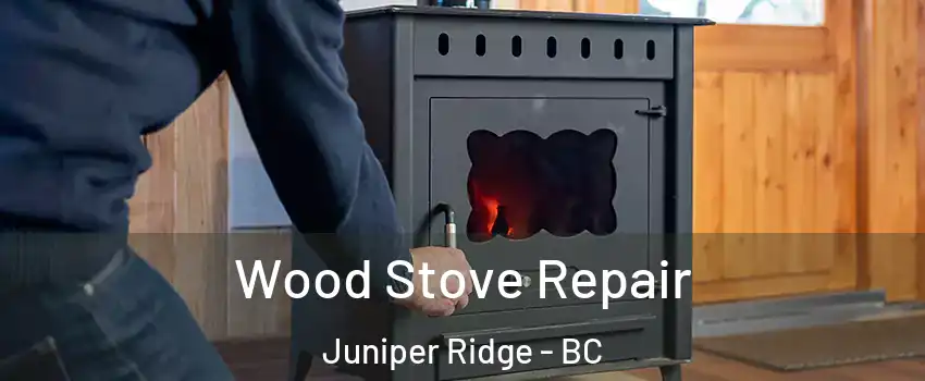  Wood Stove Repair Juniper Ridge - BC