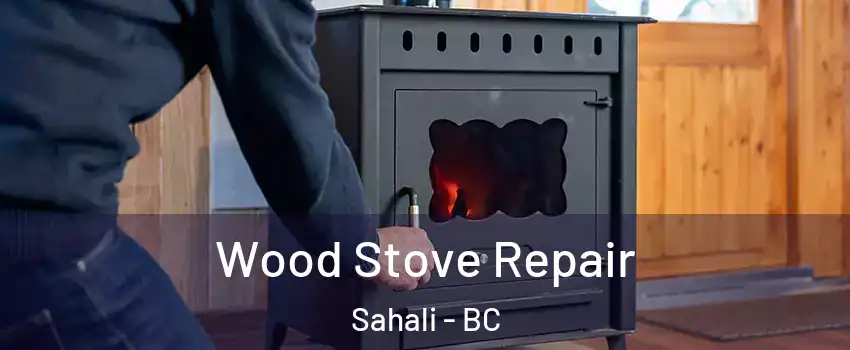  Wood Stove Repair Sahali - BC
